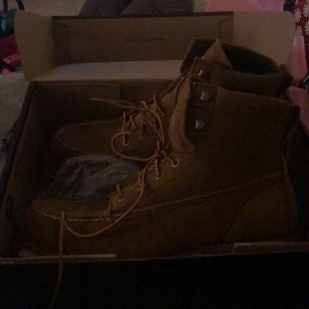 Redwing Irish setters